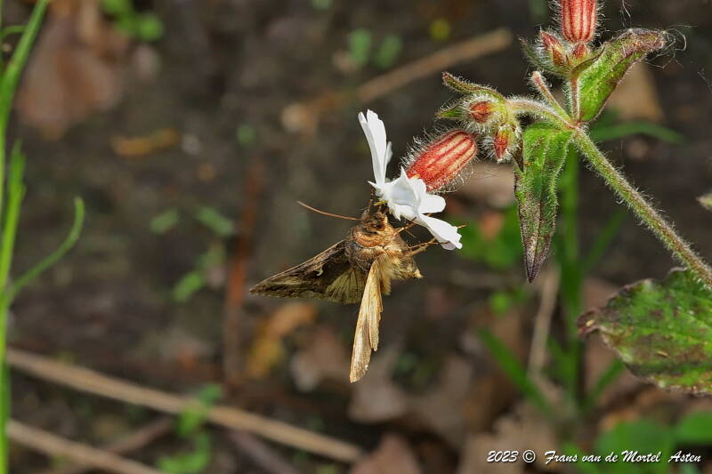 Nederweert, NL, 2023