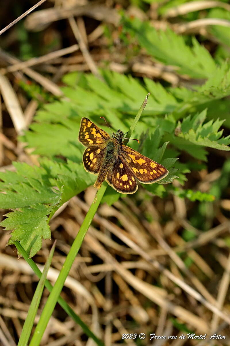 Nederweert, NL, 2023