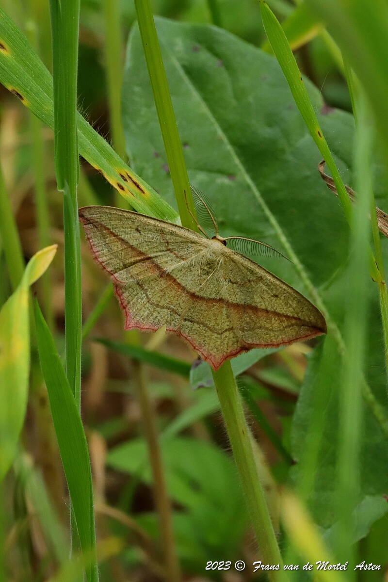 Nederweert, NL, 2023