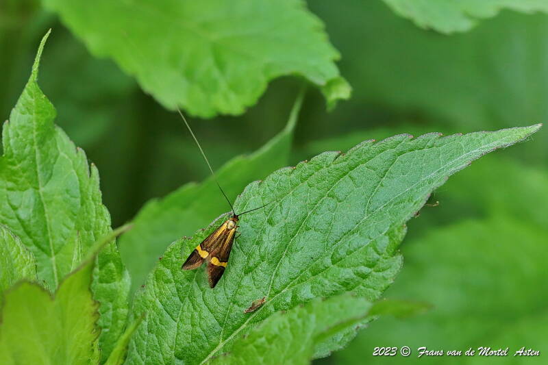 Nederweert, NL, 2023