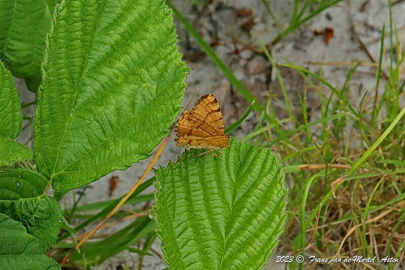 Nederweert, NL, 2023