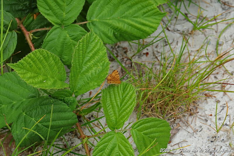 Nederweert, NL, 2023