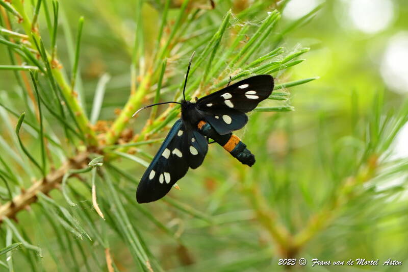 Nederweert, NL, 2023