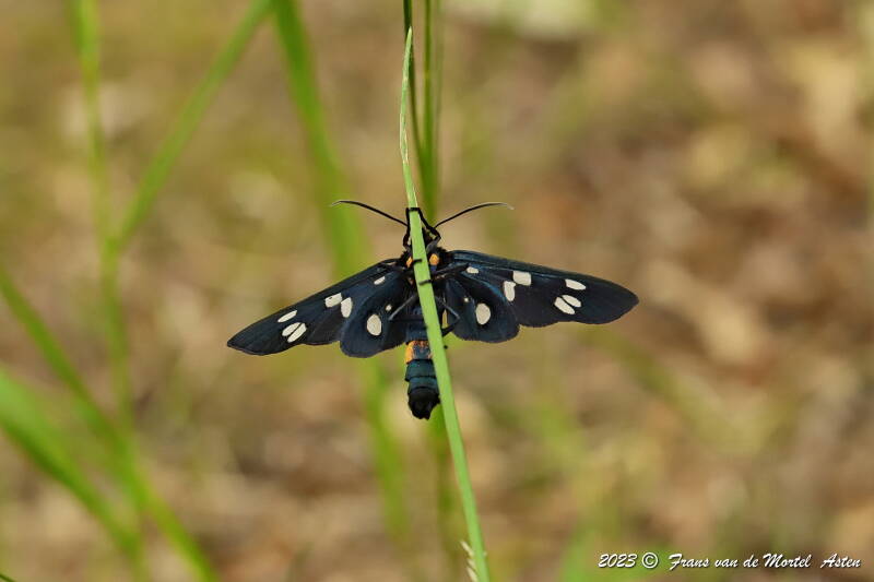 Nederweert, NL, 2023