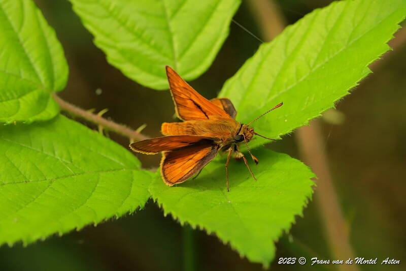 Nederweert, NL, 2023