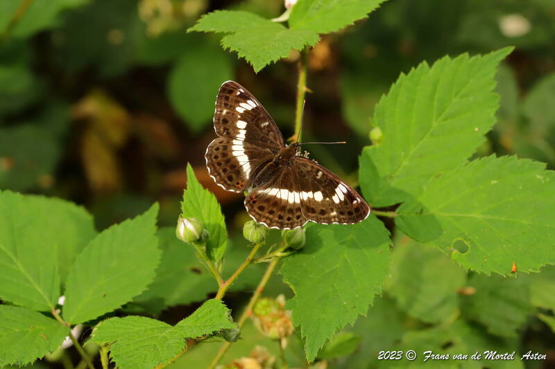 Nederweert, NL, 2023