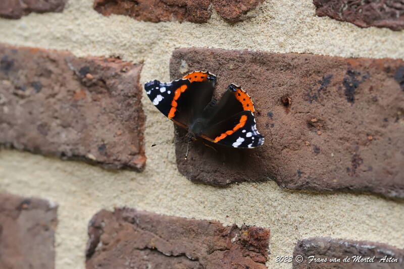 Nederweert, NL, 2023