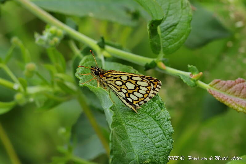 Nederweert, NL, 2023
