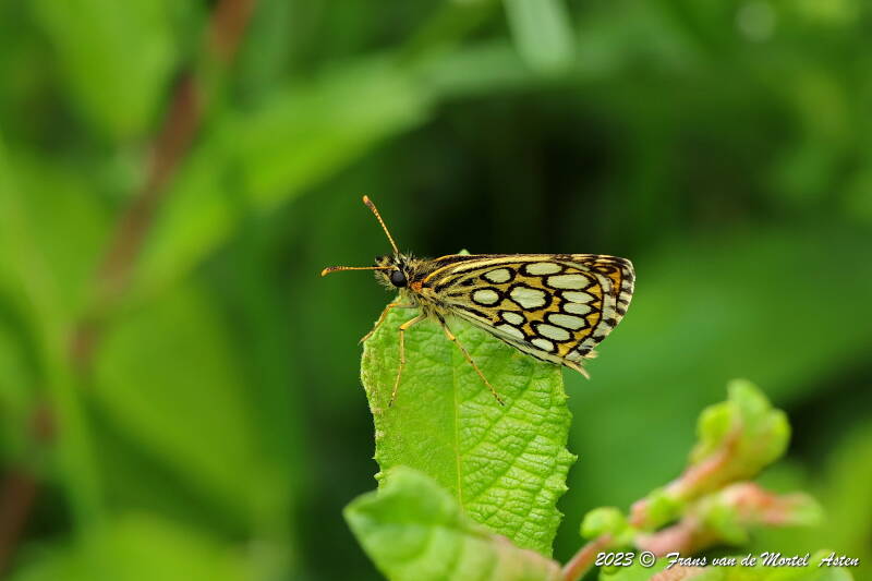 Nederweert, NL, 2023