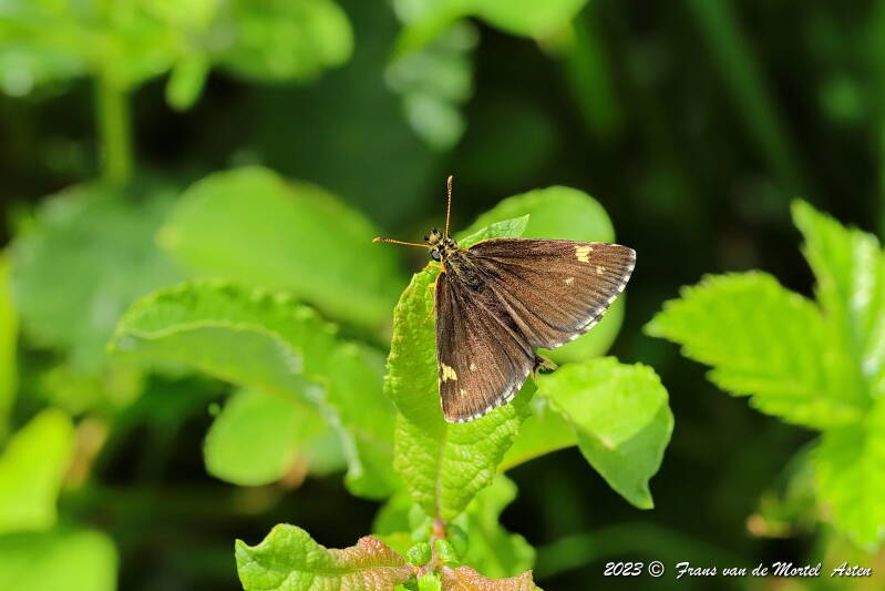Nederweert, NL, 2023