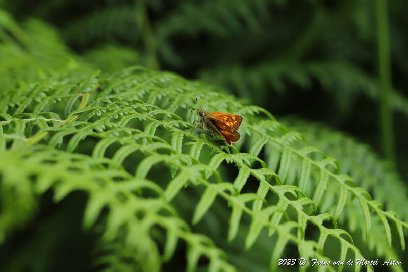 Nederweert, NL, 2023