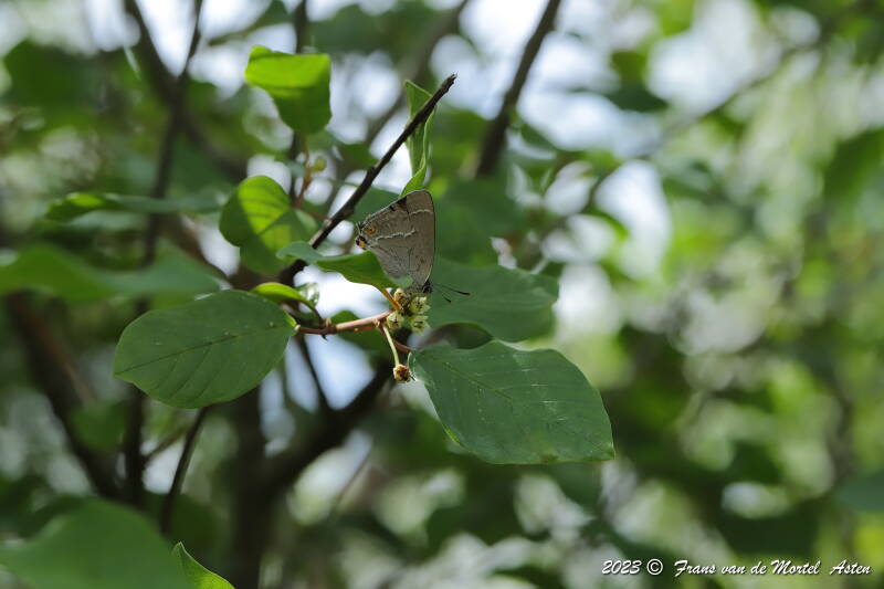 Nederweert, NL, 2023