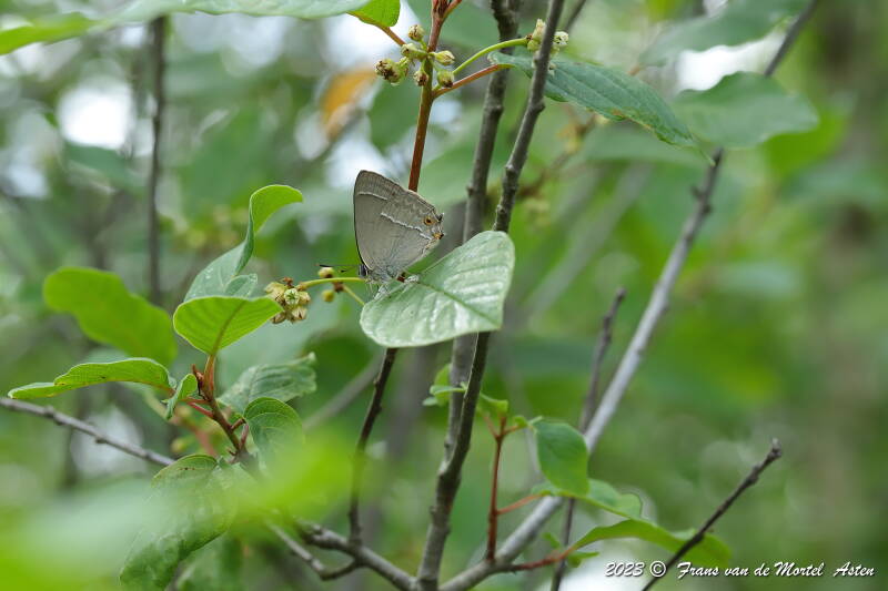 Nederweert, NL, 2023