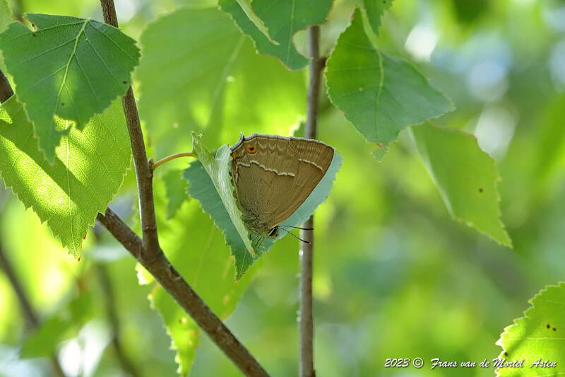 Nederweert, NL, 2023