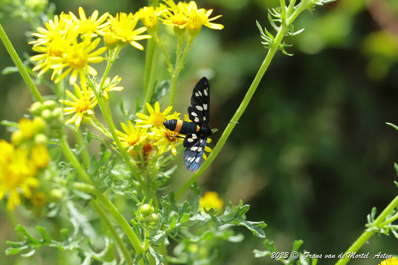 Nederweert, NL, 2023
