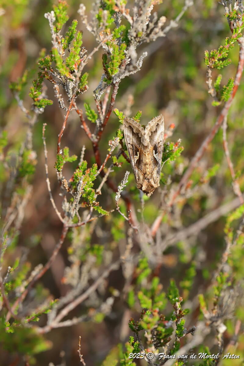 Nederweert, NL, 2023