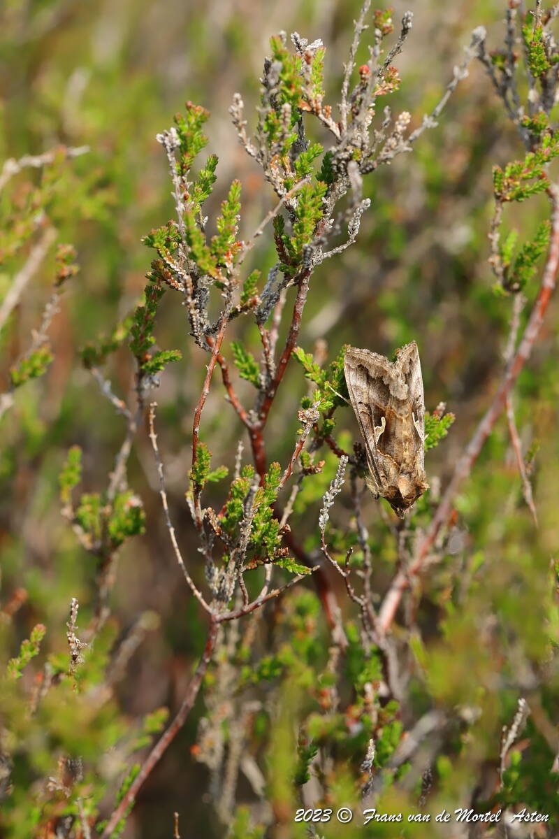 Nederweert, NL, 2023