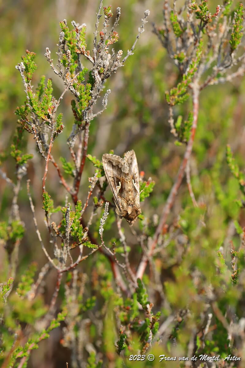Nederweert, NL, 2023
