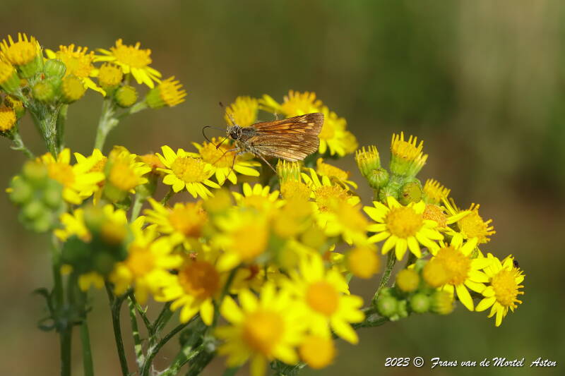 Nederweert, NL, 2023