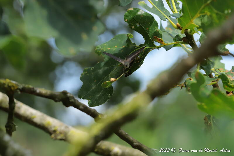 Nederweert, NL, 2023