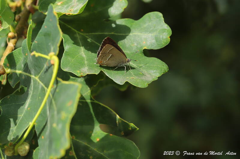 Nederweert, NL, 2023