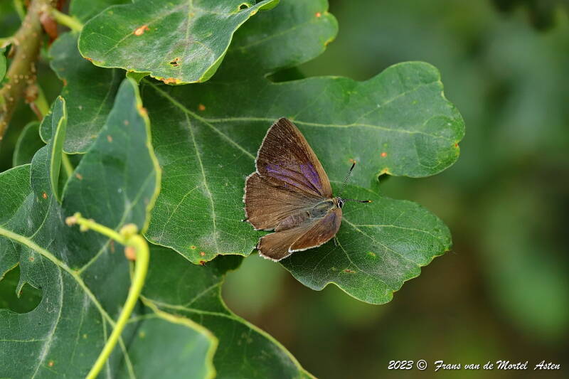 Nederweert, NL, 2023