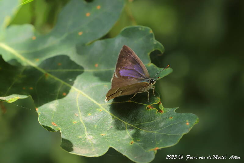 Nederweert, NL, 2023