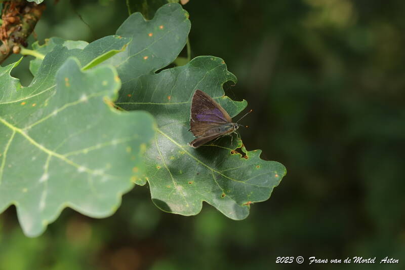 Nederweert, NL, 2023