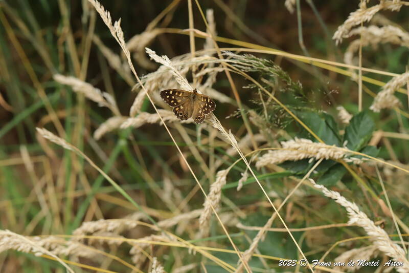 Nederweert, NL, 2023