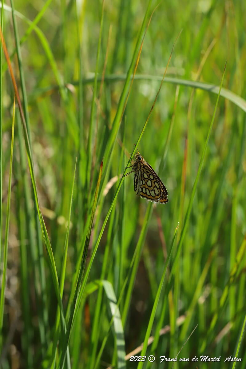 Nederweert, NL, 2023