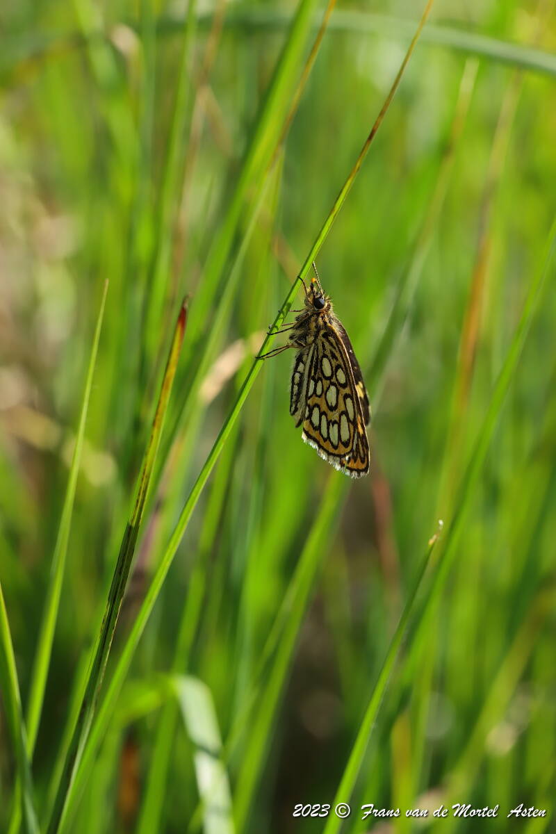Nederweert, NL, 2023