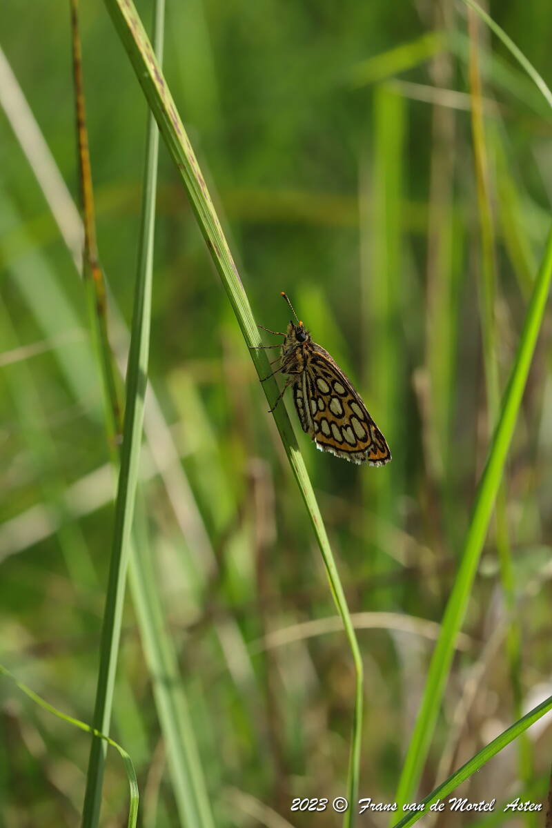 Nederweert, NL, 2023