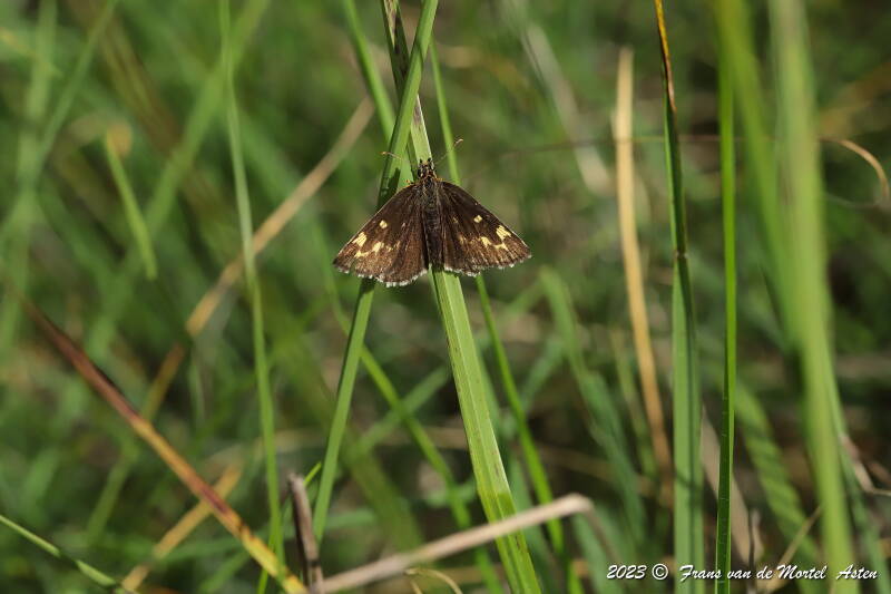 Nederweert, NL, 2023