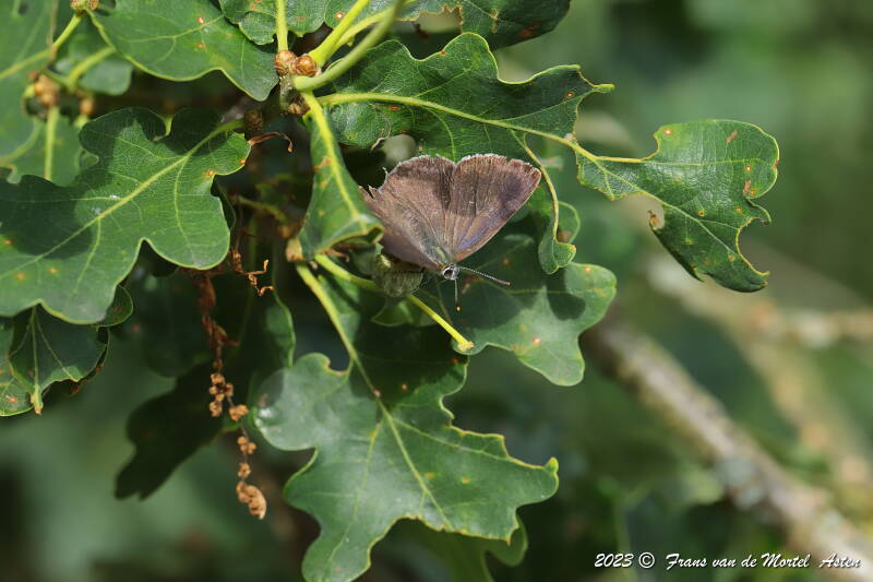Nederweert, NL, 2023
