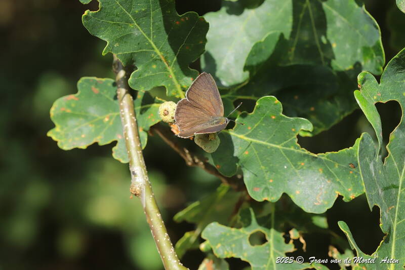 Nederweert, NL, 2023