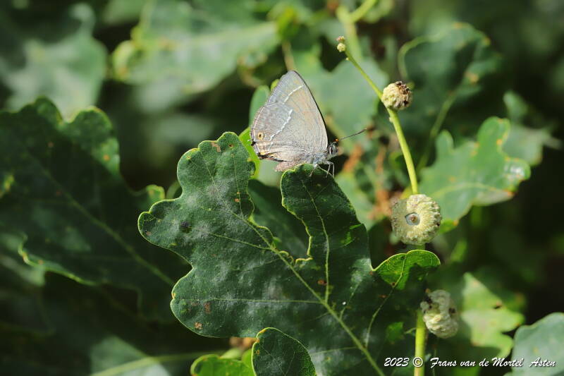 Nederweert, NL, 2023