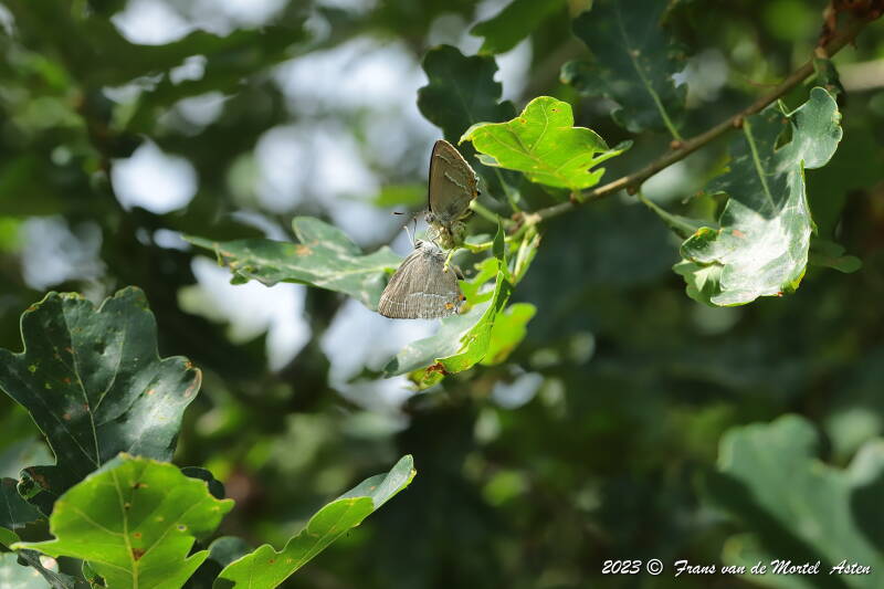 Nederweert, NL, 2023