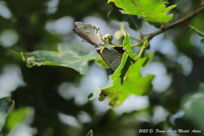 Nederweert, NL, 2023