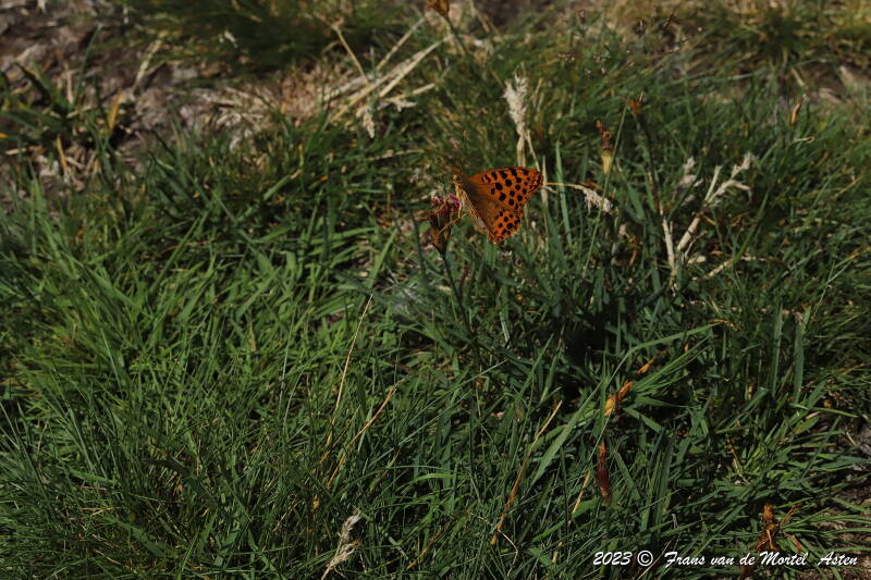 St. Julien-du-Gua,  FR, 2023