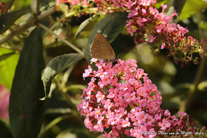 St. Julien-du-Gua,  FR, 2023