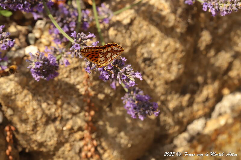 St. Julien-du-Gua,  FR, 2023