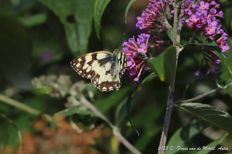 St. Julien-du-Gua,  FR, 2023