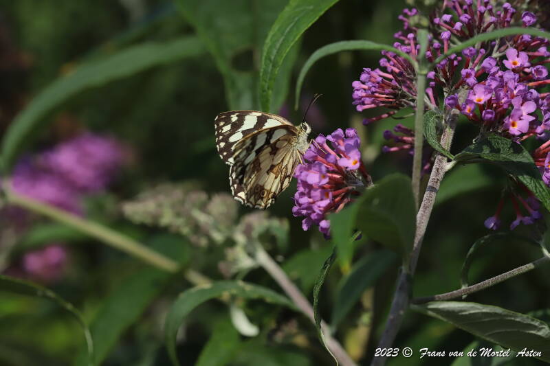 St. Julien-du-Gua,  FR, 2023