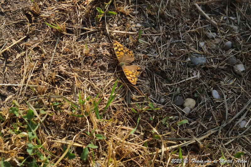 St. Julien-du-Gua,  FR, 2023