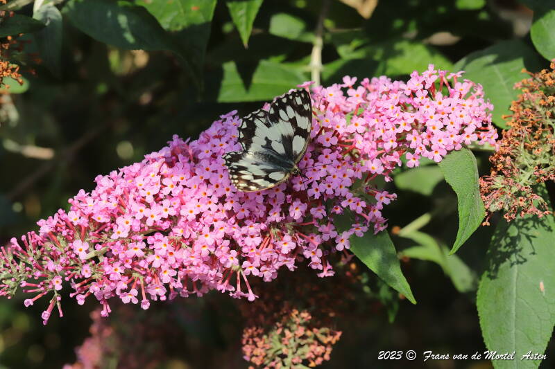 St. Julien-du-Gua,  FR, 2023