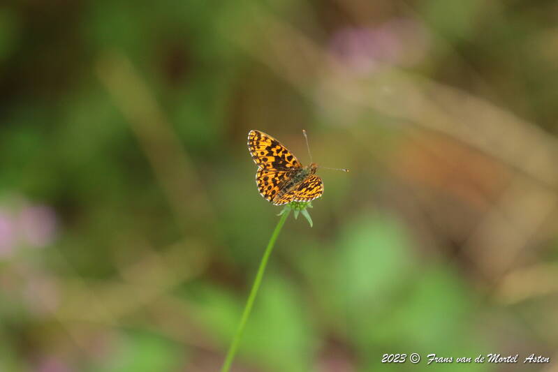 St. Julien-du-Gua,  FR, 2023
