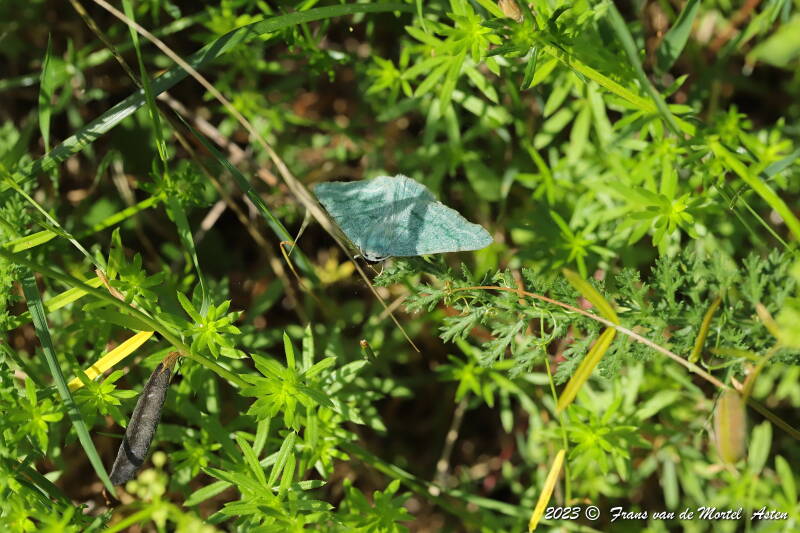 St. Julien-du-Gua,  FR, 2023