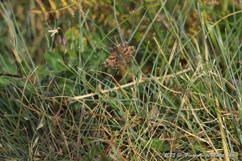 St. Julien-du-Gua,  FR, 2023