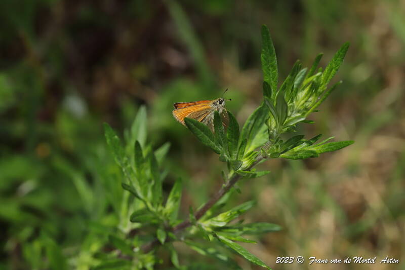 St. Julien-du-Gua,  FR, 2023
