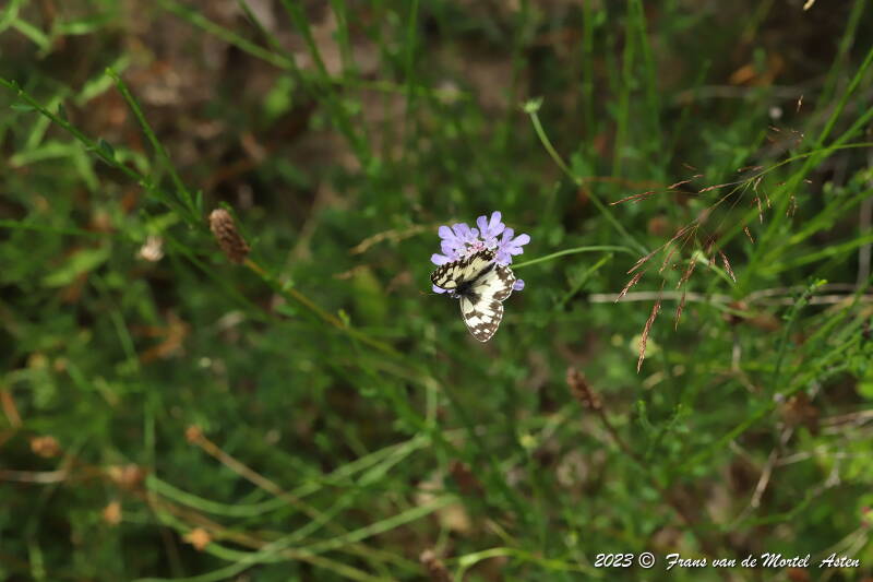 St. Julien-du-Gua,  FR, 2023